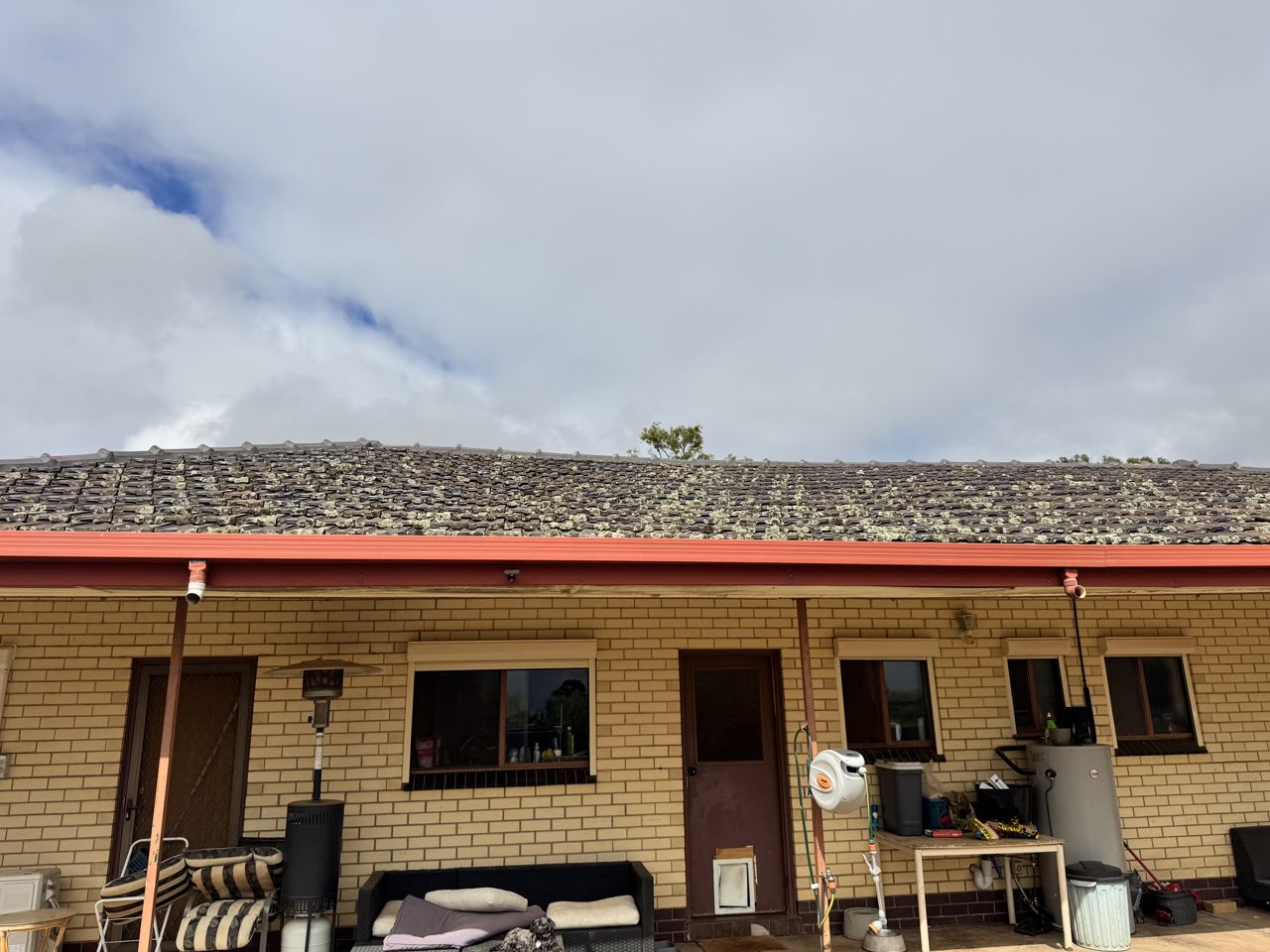 Exterior and property maintenance